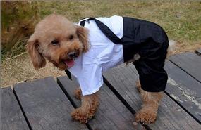 img 1 attached to 🐶 Stylish MaruPet Fashion Couture - Formal Tuxedo with Tie for Small Dog Teddy Chihuahua Bichon Frise: Classy Canine Fashion!