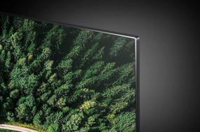 img 1 attached to 📺 LG SIGNATURE OLED88Z9PUA: Alexa Built-in, 8K Ultra HD Smart OLED TV (2019)