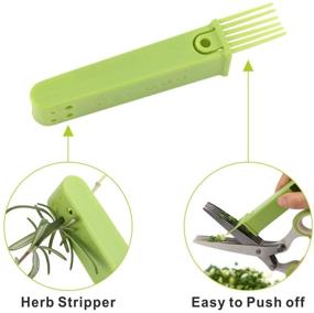 img 2 attached to 🌿 KITCHENDAO Herb Scissors Set: 5 Stainless Steel Blades, Protective Cover, Cleaning Comb - Easy to Use and Dishwasher Safe