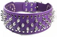 btdcfy pu leather adjustable spiked studded dog collar 2&#34; - stylish and secure collar for fashionable dogs logo