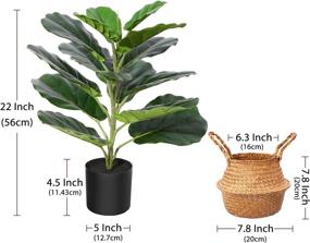 img 1 attached to Enhance Your Space with Ferrgoal Artificial Fiddle Leaf Fig Plant - 22 Inch Fake Ficus Lyrata Tree in Pot and Woven Seagrass Basket - Perfect Indoor/Outdoor Office Decor