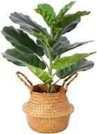 enhance your space with ferrgoal artificial fiddle leaf fig plant - 22 inch fake ficus lyrata tree in pot and woven seagrass basket - perfect indoor/outdoor office decor логотип