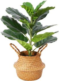 img 4 attached to Enhance Your Space with Ferrgoal Artificial Fiddle Leaf Fig Plant - 22 Inch Fake Ficus Lyrata Tree in Pot and Woven Seagrass Basket - Perfect Indoor/Outdoor Office Decor