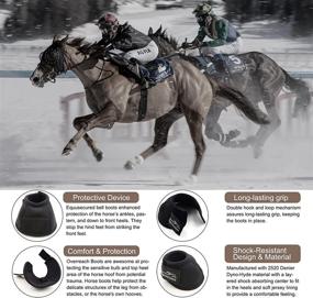 img 2 attached to 🐴 Equusecured Horse Bell Boots - Premium Overreach Boots for Ultimate Hoof Protection and Comfort - Various Sizes for Horses of All Ages