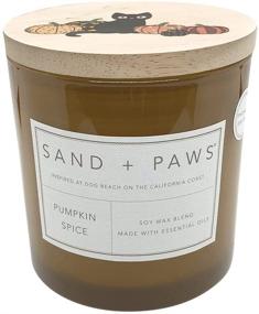 img 4 attached to 🎃 Pumpkin Spice Sand + Paws Scented Candles: Eliminate Pet Odor with Soy Blend, 3 Lead-Free Wicks, 25 oz