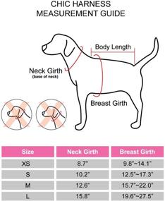 img 1 attached to 🐾 Pinkaholic Chic: An Adjustable Dog Harness in Pink for Fashionable Pups