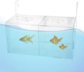 img 1 attached to 🐠 POPETPOP Fish Breeding Box: Premium Isolation Breeder Hatchery for Aquariums - Ideal for Baby Fish, Shrimp, Clownfish, Guppy - Small Suction Cup Accessory