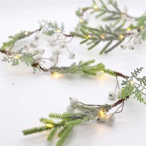 img 1 attached to MIYA LIFE USB Pine Branches String Lights: 6FT Garland with Timer Remote Control - Perfect Christmas Decoration, Handcrafted for Festive Fireplace Ambience - 25LEDs Twig Vine Lights