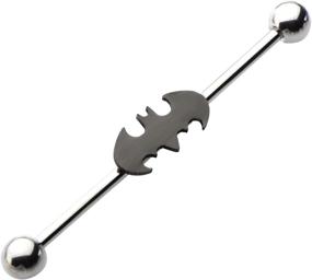 img 2 attached to DC Comics Stainless Industrial Barbell