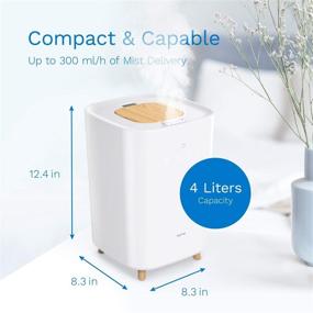 img 3 attached to 💧 HomeLabs Cool Mist Ultrasonic Mini Humidifier for Tabletop - 4 Liter Capacity with 40 Hour Run Time - Ideal for Bedroom, Nursery, Plants and More