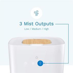 img 2 attached to 💧 HomeLabs Cool Mist Ultrasonic Mini Humidifier for Tabletop - 4 Liter Capacity with 40 Hour Run Time - Ideal for Bedroom, Nursery, Plants and More