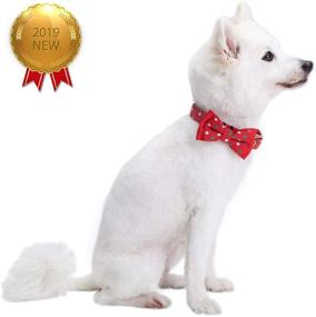 img 3 attached to 🎄 Christmas Festival Dog Collars with Luxurious Bowtie Set by Blueberry Pet