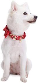 img 2 attached to 🎄 Christmas Festival Dog Collars with Luxurious Bowtie Set by Blueberry Pet