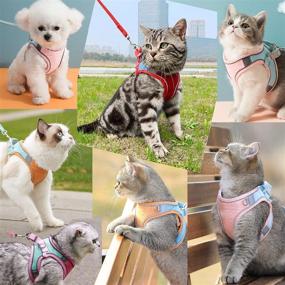 img 3 attached to JSXD Cat Harness Set - Escape Proof Kitten Vest Harness with Leash and Collar for Walking - Easy 🐱 Control Night Safe Pet Harness with Reflective Strap and Bell - Suitable for Small and Large Kittens, Puppies, and Rabbits