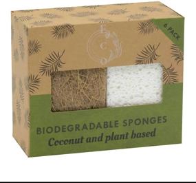 img 4 attached to 🌿 Environmentally-friendly Biodegradable Coconut Fiber Kitchen Sponges - Sustainable, Vegan, and Natural Dish Scrubber (6 Count, Pack of 1)