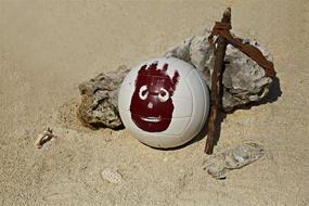 img 2 attached to Wilson 🏐 Cast Away Volleyball Ball