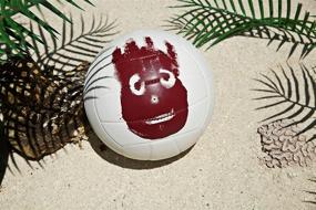 img 1 attached to Wilson 🏐 Cast Away Volleyball Ball