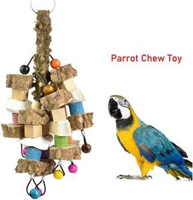 img 3 attached to 🦜 PINVNBY Large Parrot Chewing Toy: Natural Wood Cuttlebone Blocks for African Greys, Macaws, Cockatoos & More