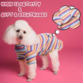 img 2 attached to 🐶 3-Pack Dog Shirts: Adorable Rainbow Striped T-Shirts for Small Dogs - Stretchy Short Sleeve Puppy Clothes for Teddy, Bichon, Pomeranian