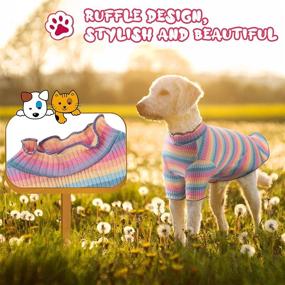 img 1 attached to 🐶 3-Pack Dog Shirts: Adorable Rainbow Striped T-Shirts for Small Dogs - Stretchy Short Sleeve Puppy Clothes for Teddy, Bichon, Pomeranian