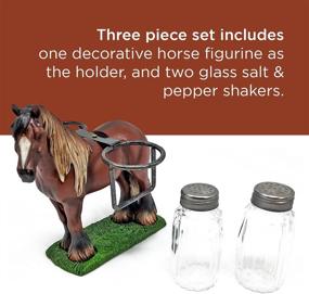 img 2 attached to 🐎 PGI Traders Standing Horse Salt and Pepper Holder - Premium Set with 2 Glass Shakers - Unique Novelty Kitchen Décor - 6.5” Wide x 6” Long