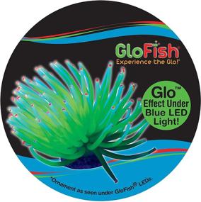 img 1 attached to GloFish Illuminating Aquarium Decorations Promoting a Vibrant Glow Effect