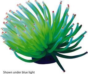 img 3 attached to GloFish Illuminating Aquarium Decorations Promoting a Vibrant Glow Effect