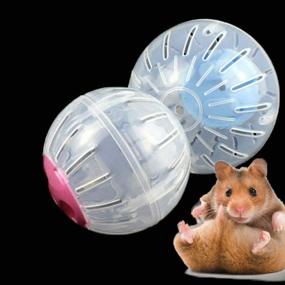 img 2 attached to 🐹 SANSHIYI 12CM Blue Hamster Mini Run-About Exercise Ball - Portable Transparent Jogging Running Sport Wheel Toys for Small Mice, Rats, Gerbils, and Rodents