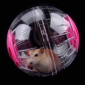 img 3 attached to 🐹 SANSHIYI 12CM Blue Hamster Mini Run-About Exercise Ball - Portable Transparent Jogging Running Sport Wheel Toys for Small Mice, Rats, Gerbils, and Rodents
