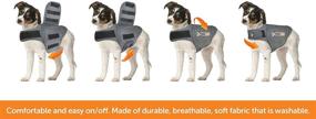 img 1 attached to 🐶 Classic Dog Anxiety Jacket by Thundershirt