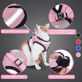 img 2 attached to Escape Proof Cat Harness and Leash Set - Soft Breathable Padded Vest Harnesses for Cats Outdoor Walking - Step-in Adjustable Comfortable Cat Vest Harness with Reflective Strap