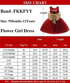 img 1 attached to Wedding Flower Girl Dress for Babies Aged 0-12 Years