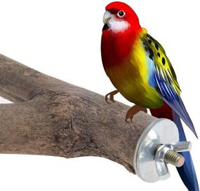 img 1 attached to 🦜 NEWCOMDIGI 2 Pack Bird Branches Perch: Natural Wooden Fork Parrot Cage Stands for Budgies, Conures, Caciques, Cockatiels, Parakeets, Cockatoos - Toys Included