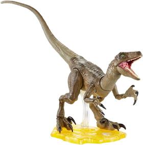 img 4 attached to 🦖 Jurassic World Collection Velociraptor Action Figure