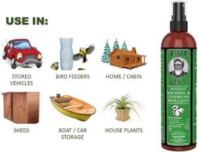 img 3 attached to 🌰 Powerful Grandpa Gus's GCC-8-15 Squirrel & Chipmunk Repellent, 8oz - Safeguard Your Home, Garden, Plant, and Wiring with Water-Based Peppermint/Cinnamon Oils