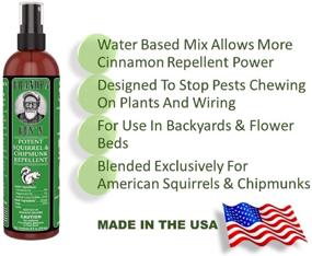 img 2 attached to 🌰 Powerful Grandpa Gus's GCC-8-15 Squirrel & Chipmunk Repellent, 8oz - Safeguard Your Home, Garden, Plant, and Wiring with Water-Based Peppermint/Cinnamon Oils