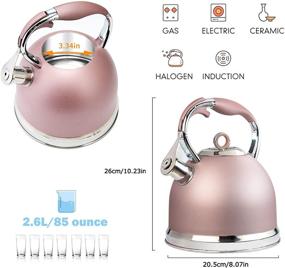 img 1 attached to 🌹 3-Liter Stainless Steel Whistling Tea Kettle with One-Touch Push Button Silicone Handle - Induction Stovetop, Modern Design (Rose Gold)