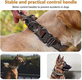 img 2 attached to 🐾 Kayina Tactical Dog Collar - Adjustable Heavy-Duty Nylon Collar with USA American Flag, Service Dog Patch, Thick Handle - K9 Collar for Training and Service - Ideal for Large and Extra-Large Dogs (L,XL)