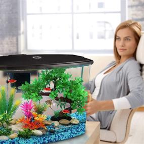 img 4 attached to Koller Products Smart Tank 7-Gallon Aquarium: LED Lighting, Multiple Color Options, Powerful Filtration - 45 GPH, Smartphone Connectivity