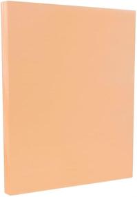 img 2 attached to 🍑 JAM PAPER Vellum Bristol 67lb Cardstock - Peach - 50 Sheets/Pack | Premium 8.5 x 11 Coverstock for Crafts & Printing