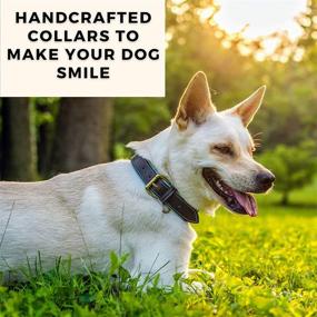 img 1 attached to 🐾 PawFurEver Faux Leather Dog Collar: Padded, Elegant Design for Comfortable & Stylish Dogs! (Small to X-Large Breeds)