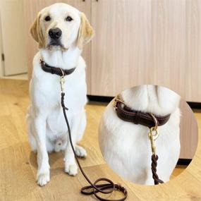 img 3 attached to Premium Brown Leather Dog Leash Braided - Heavy Duty Training 🐶 Leash for Large, Medium, Small Breed Dogs - 4ft/6ft Standard Pet Leashes