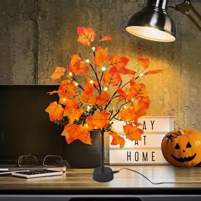 img 4 attached to 🍁 Prelit Tabletop Artificial Fall Maple Tree: 22-Inch Thanksgiving Decor with 24 Lights