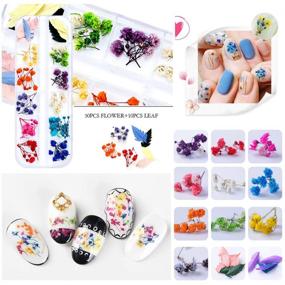 img 2 attached to 108 Pcs Dried Flowers for Resin Nail Art - 62 Colors, 3D Dry Flowers for Nails, 2 Boxes of Small Tiny Dried Flowers for Nail Art – Little Pressed Real Natural Flower Nail Art Design Decoration Supplies