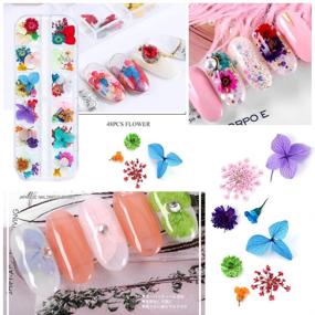 img 3 attached to 108 Pcs Dried Flowers for Resin Nail Art - 62 Colors, 3D Dry Flowers for Nails, 2 Boxes of Small Tiny Dried Flowers for Nail Art – Little Pressed Real Natural Flower Nail Art Design Decoration Supplies