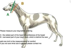 img 1 attached to Martingale Greyhound Saluki Whippet Collar Dogs in Training & Behavior Aids