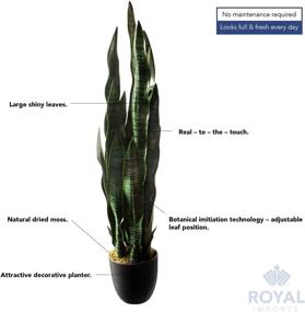 img 1 attached to 🌿 36" Tall Royal Imports Dark Green Artificial Sansevieria Leaf Plant in Decorative Planter - Life-Like Faux Snake Plant, Mother-in-Law Tongue Tree