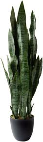 img 4 attached to 🌿 36" Tall Royal Imports Dark Green Artificial Sansevieria Leaf Plant in Decorative Planter - Life-Like Faux Snake Plant, Mother-in-Law Tongue Tree