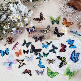 img 1 attached to 🦋 Knaid Butterfly Dragonfly Insects Stickers Set - 240 Pieces of PET Transparent Waterproof Decorative Decals for Crafts, Scrapbooking, Journaling, & More