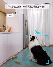 img 2 attached to 📷 eufy Solo IndoorCam P22 - Камера безопасности Pan & Tilt с разрешением 1080p, Wi-Fi, ИИ для распознавания людей/домашних животных, поддержка голосового помощника, отслеживание движения - не поддерживает Homebase